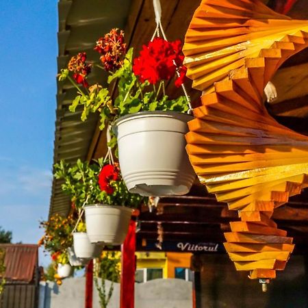 Casa El Greco Hotel Costinesti Ngoại thất bức ảnh